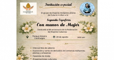 Con manos de Mujer: iniciativas que transforman Cienfuegos Con manos de Mujer: iniciativas que transforman Cienfuegos