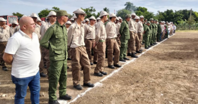 Celebran en Cienfuegos aniversario 53 del Ejército Juvenil del Trabajo (+ Fotos) Celebran en Cienfuegos aniversario 53 del Ejército Juvenil del Trabajo (+ Fotos)