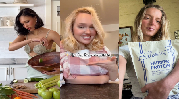 La etiqueta de tradwife (refiriéndose a una mujer tradicional o esposa tradicional) fue popularizada por influencers como Nara Smith y Ballerina Farm, entre otras. En sus videos muestran una vida idílica del trabajo que las mujeres realizan dentro de la casa.