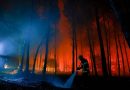 Crece la preocupación en Francia por incendios forestales en Landas