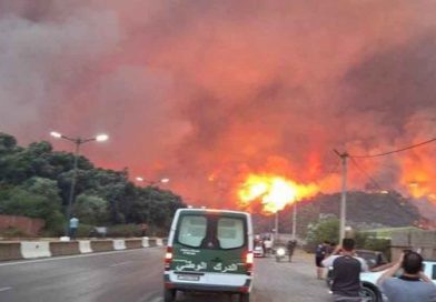 Canciller cubano lamenta víctimas por incendios forestales en Argelia Canciller cubano lamenta víctimas por incendios forestales en Argelia