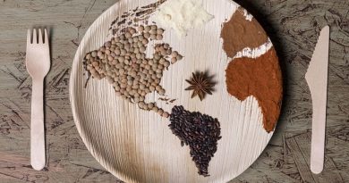 El planeta asume el fracaso de Hambre Cero para 2030 El planeta asume el fracaso de Hambre Cero para 2030