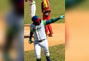 Conformada manada de Elefantes para Serie Nacional de Béisbol Conformada manada de Elefantes para Serie Nacional de Béisbol