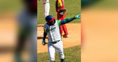 Conformada manada de Elefantes para Serie Nacional de Béisbol Conformada manada de Elefantes para Serie Nacional de Béisbol