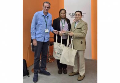 Evalúan Cuba y Biofin oportunidad de financiamiento para la biodiversidad Evalúan Cuba y Biofin oportunidad de financiamiento para la biodiversidad