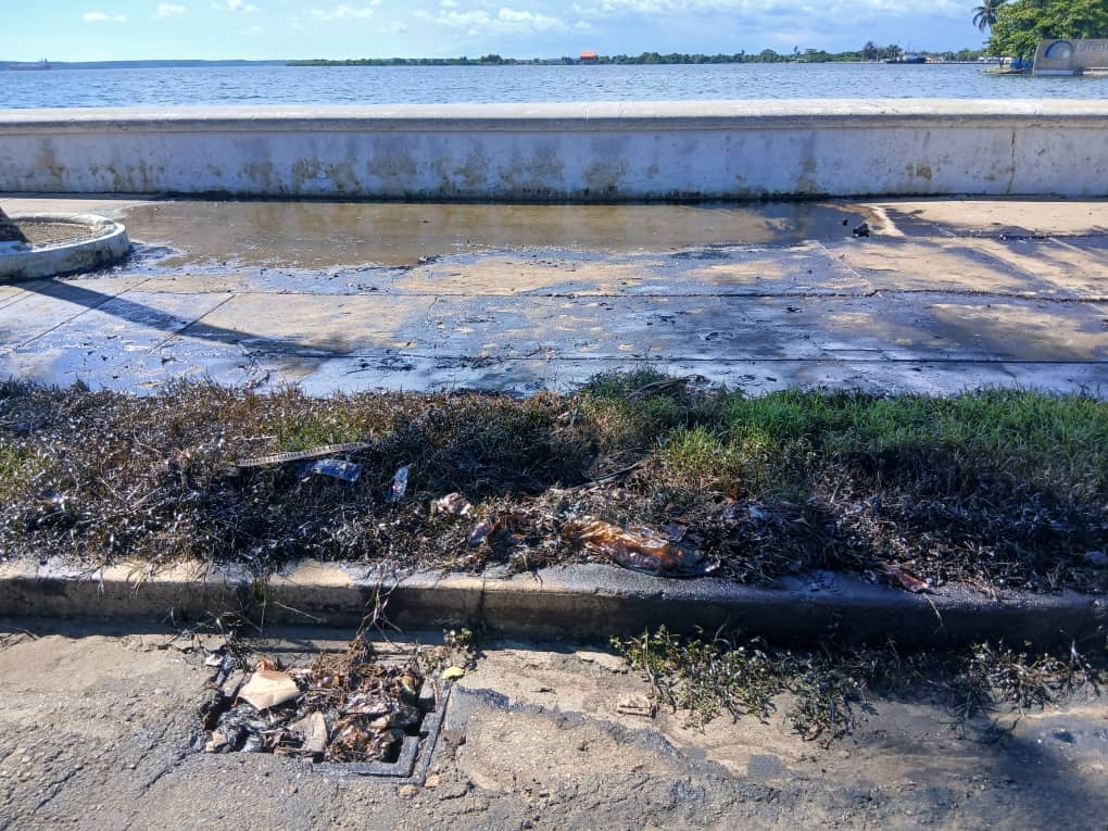 Sobre el pavimento y la vegetación pueden verse vestigios de las aguas oleosas, pero estas no llegaron al mar. / Foto: Yudith Madrazo Sosa / 5 de Septiembre 