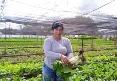 De Camagüey, Magalys Pedrero Basulto entre las 100 Heroínas Agricultoras de la FAO De Camagüey, Magalys Pedrero Basulto entre las 100 Heroínas Agricultoras de la FAO