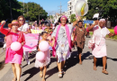 Mariposas de Cienfuegos baten alas por cuatro años (+Fotos)