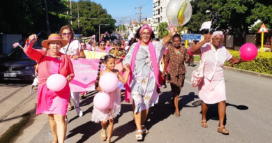 Mariposas de Cienfuegos baten alas por cuatro años (+Fotos)
