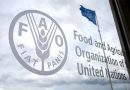 Comienza en Roma el Foro Mundial de la Alimentación de la FAO Comienza en Roma el Foro Mundial de la Alimentación de la FAO