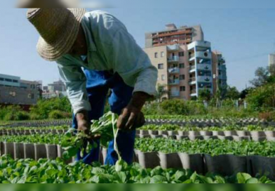 Cuba promueve agroalimentación sostenible en foro mundial de la FAO Cuba promueve agroalimentación sostenible en foro mundial de la FAO